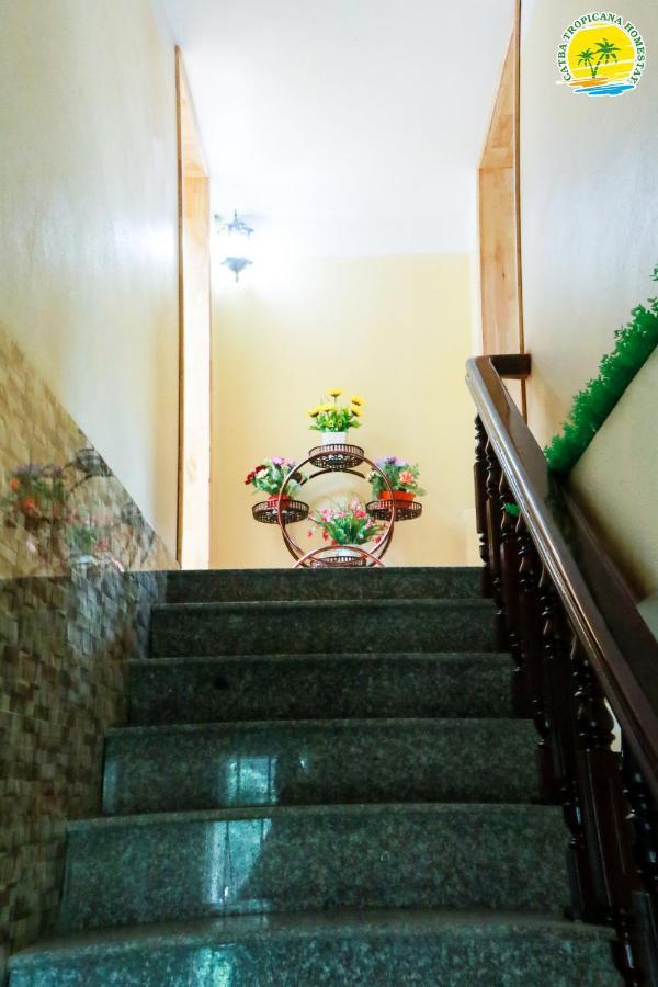 Cát Bà Vintage Homestay Cat Ba Island Exterior foto